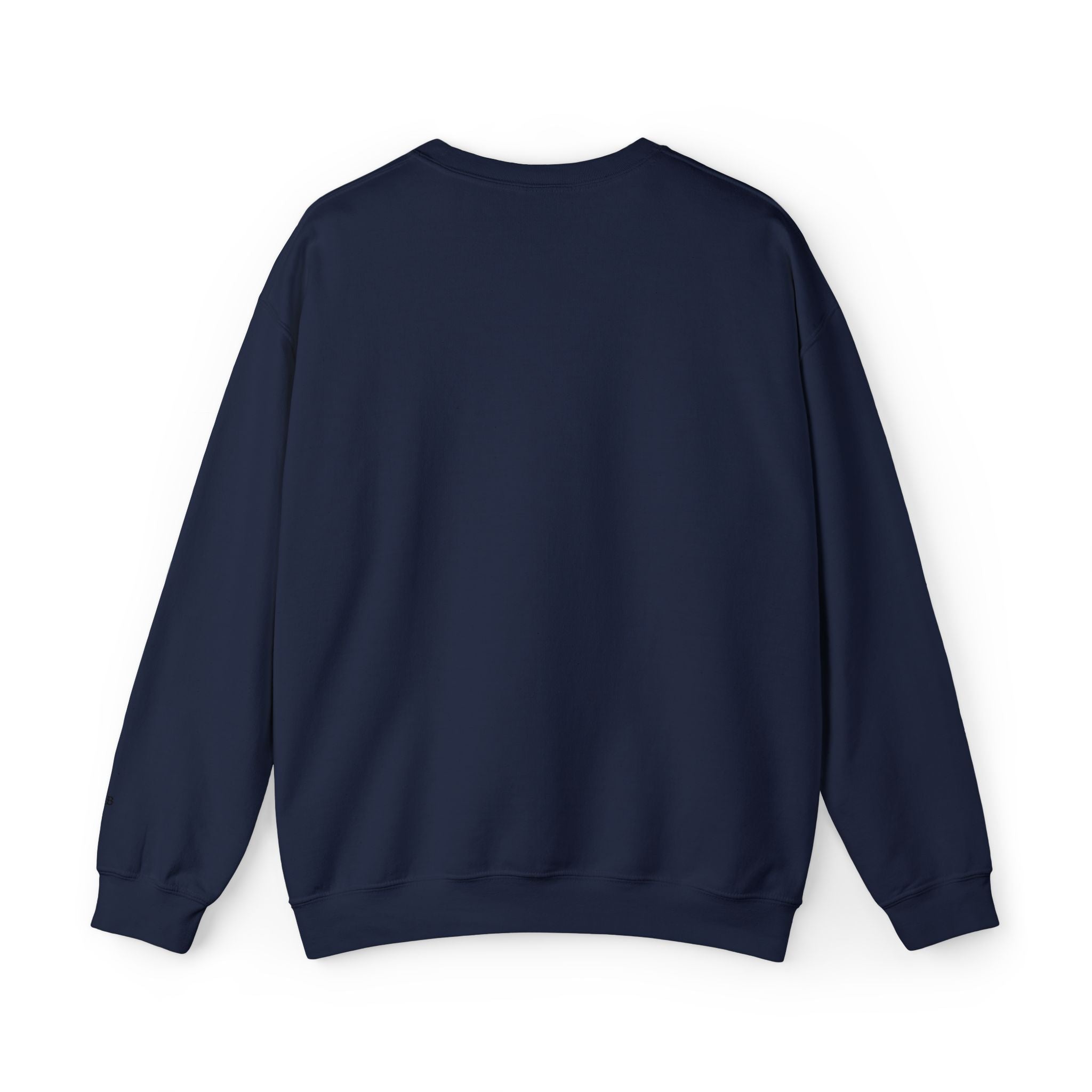 USA Distressed Graphic Sweatshirt